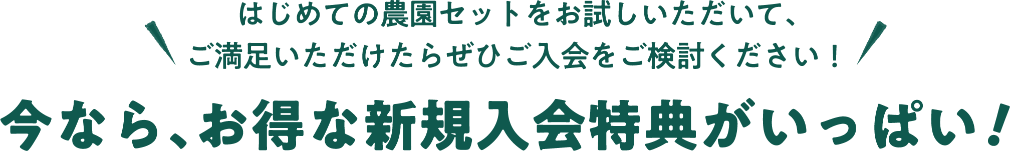 はじめての農園セットをお試しいただいて、ご満足いただけたらぜひご入会をご検討ください！今なら、お得な新規入会特典がいっぱい！